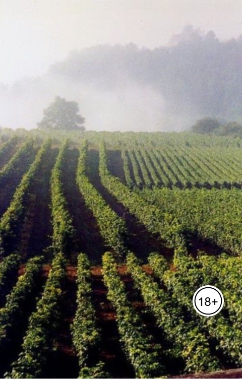 Обложка книги Алекс Димов Слагаемые