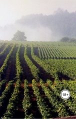 обложка книги Алекс Димов "Слагаемые"