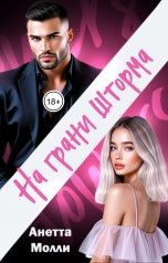 обложка книги Анетта Молли "На грани шторма"