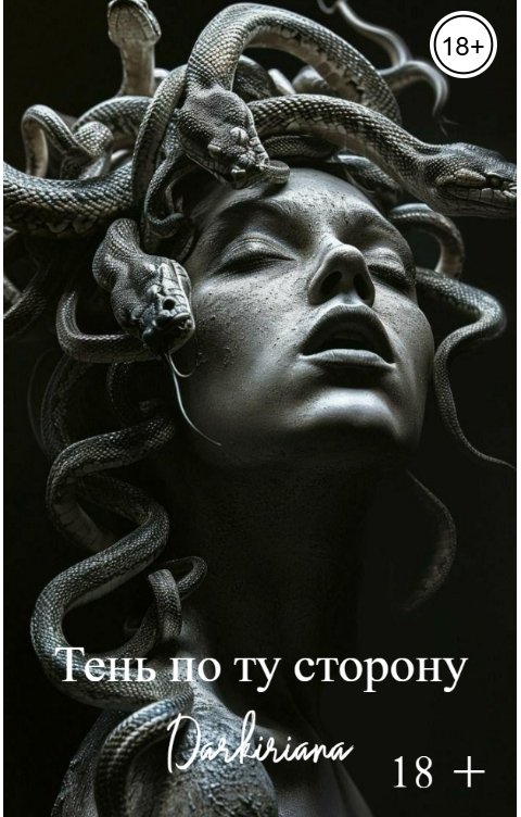 Обложка книги Darkiriana Тень по ту сторону