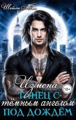 обложка книги Шейли Мил "Измена. Танец с тёмным ангелом под дождём"