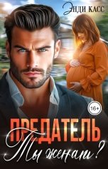 обложка книги Энди Касс "Предатель. Ты женат?"