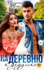 обложка книги Татьяна Тим "На деревню к дедушке"