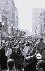 обложка книги Артур Олейников "Лизавета Синичкина"