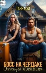 обложка книги Таня Мэй "Босс на чердаке. Операция "Спасение""