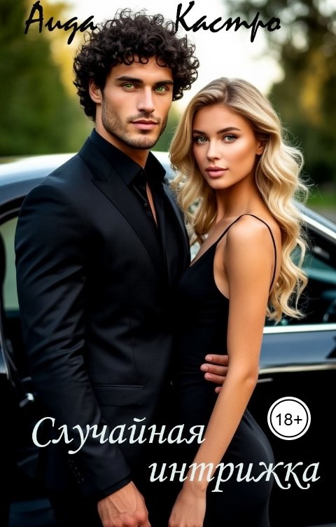 Обложка книги Аида Кастро Случайная интрижка