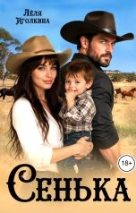обложка книги Лёля Иголкина "Сенька"