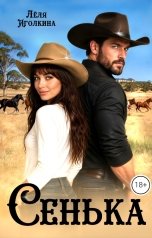 обложка книги Лёля Иголкина "Сенька"