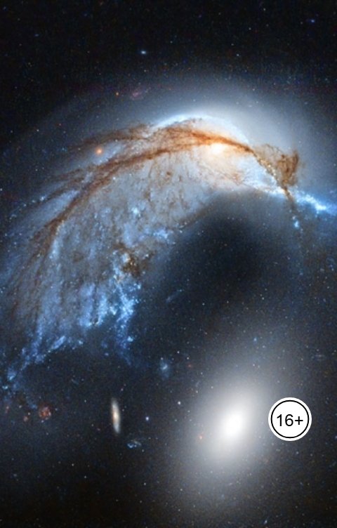 Обложка книги Электрик Личность и статус