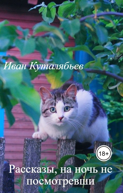 Обложка книги Иван Куталябьев Рассказы, на ночь не посмотревши