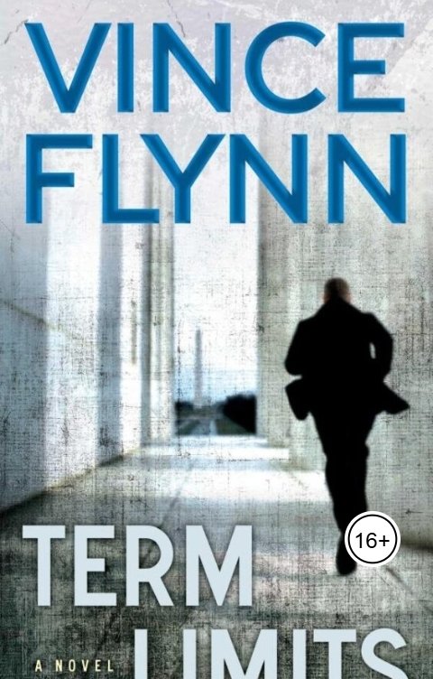 Обложка книги geninmisha Срок у власти