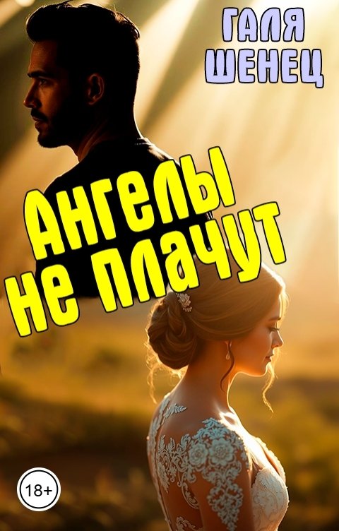 Обложка книги Галя Шенец Ангелы не плачут