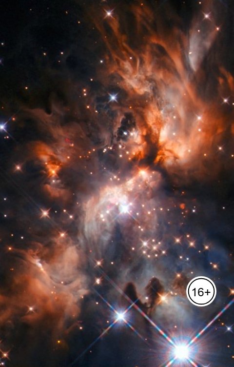 Обложка книги Электрик Реальность