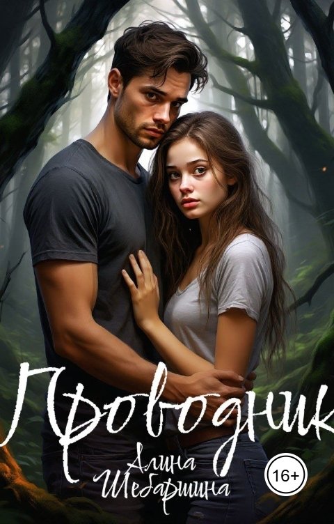 Обложка книги Алина Шебаршина Проводник