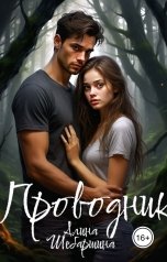 обложка книги Алина Шебаршина "Проводник"