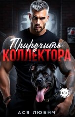 обложка книги Ася Любич "Приручить коллектора"