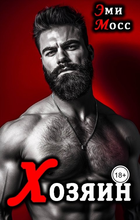 Обложка книги Эми Мосс Хозяин