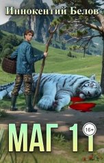 обложка книги Иннокентий Белов "Маг 11"