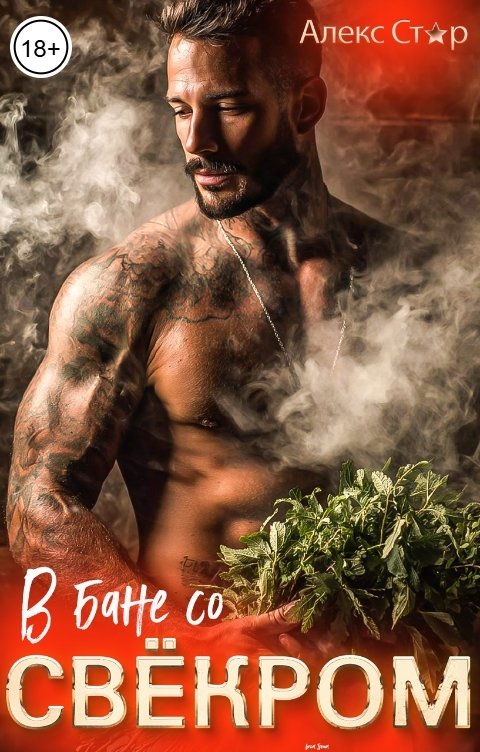 Обложка книги Алекс Стар В бане со свёкром