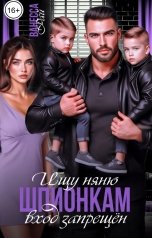 обложка книги Ванесса Рай "Ищу няню. Шпионкам вход запрещён"