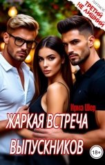 обложка книги Ирма Шер "Жаркая встреча выпускников"
