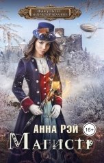 обложка книги Анна Рэй "Факультет магической механики. Магистр"