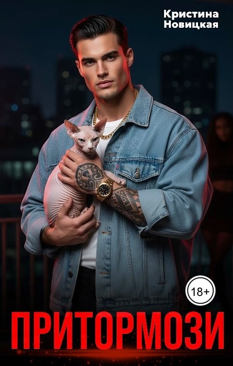 Обложка книги Кристина Новицкая Притормози