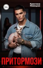 обложка книги Кристина Новицкая "Притормози"