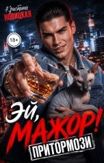 обложка книги Кристина Новицкая "Притормози"