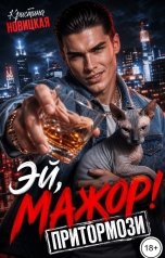 обложка книги Кристина Новицкая "Притормози"