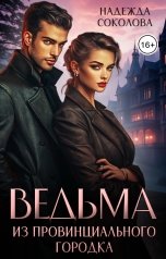 обложка книги Надежда Соколова "Ведьма из провинциального городка"