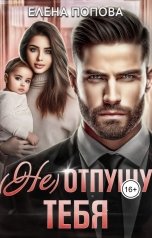 обложка книги Елена Попова "(Не) отпущу тебя"
