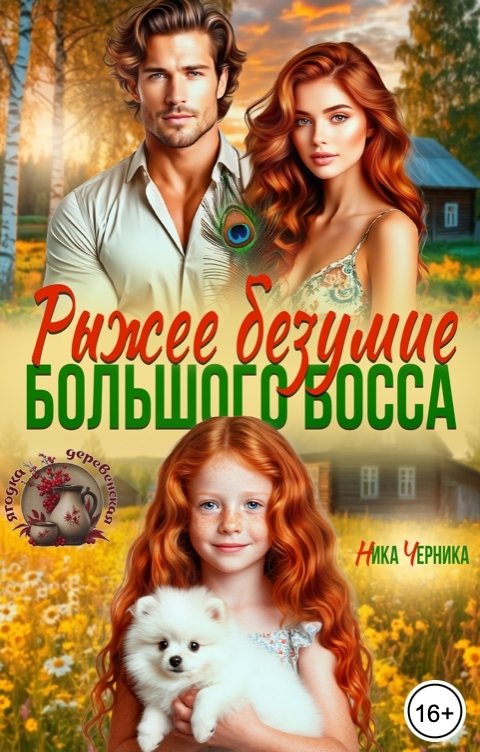 Обложка книги Ника Черника Рыжее безумие Большого Босса