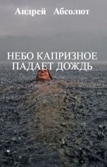 обложка книги Андрей   Блокбастер "Небо капризное падает дождь"