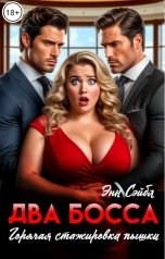 обложка книги Энн Сейбл "Два босса. Горячая стажировка пышки"