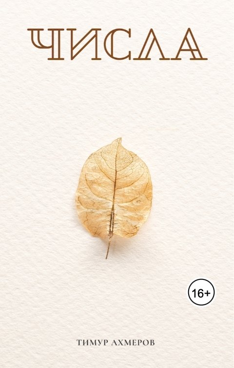 Обложка книги Тимур Ахмеров Числа