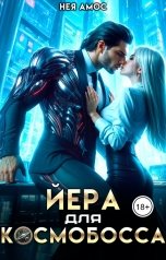 обложка книги Нея Амос "Йера для космобосса"