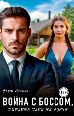 обложка книги Софи Сорель "Война с боссом, или деревня тебе не офис"