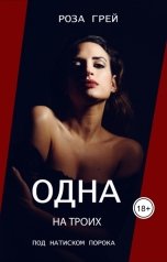 обложка книги Роза Грей "Одна на троих"