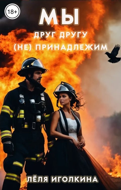 Обложка книги Лёля Иголкина Мы друг другу (не) принадлежим