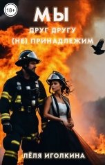 обложка книги Лёля Иголкина "Мы друг другу (не) принадлежим"