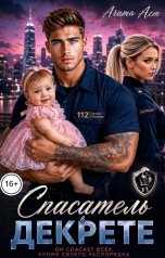 обложка книги Агата Аст "Спасатель в декрете"