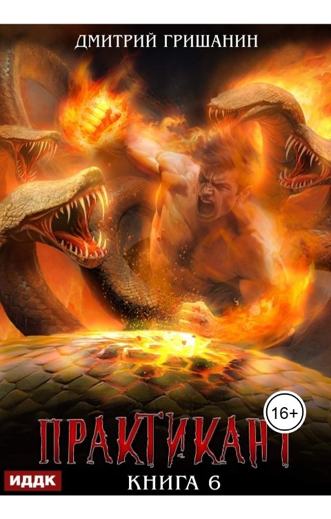 Обложка книги ИДДК Практикант. Книга 6