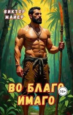 обложка книги Виктор Майер "Во благо имаго"