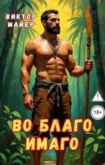 обложка книги Виктор Майер "Во благо имаго"