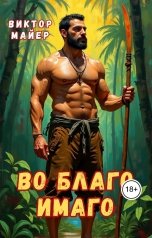обложка книги Виктор Майер "Во благо имаго"