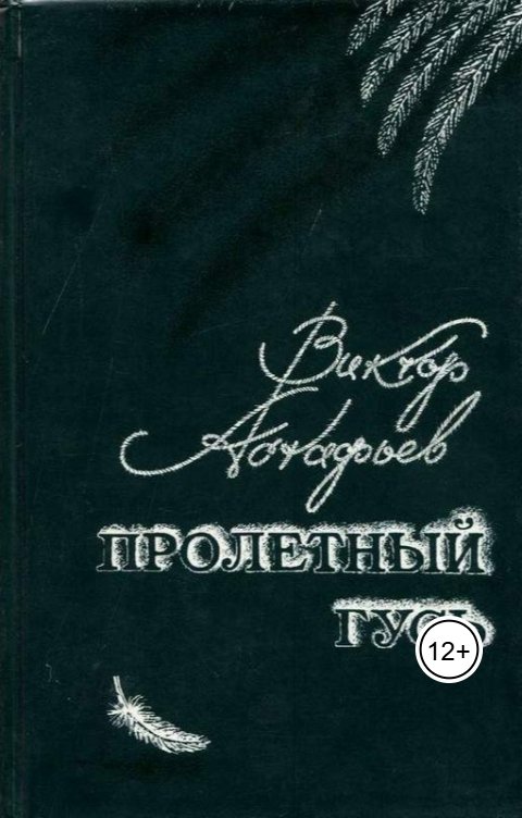 Обложка книги Нина Гуркова В.Астафьев. Пролётный гусь