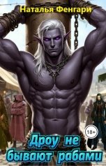обложка книги Наталья Фенгари "Дроу не бывают рабами"
