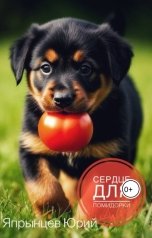 обложка книги Япрынцев Юрий "Сердце для Помидорки"