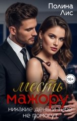 обложка книги Полина Лис "Месть мажору. Никакие деньги тебе не помогут"